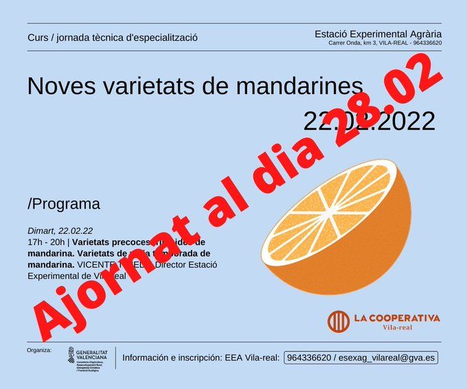  NUEVAS VARIEDADES DE MANDARINAS (VILA-REAL)